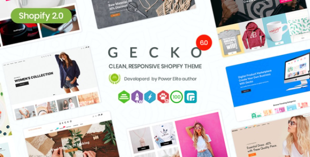 Review of the Popular WordPress Theme: Gecko 1 Gecco Theme