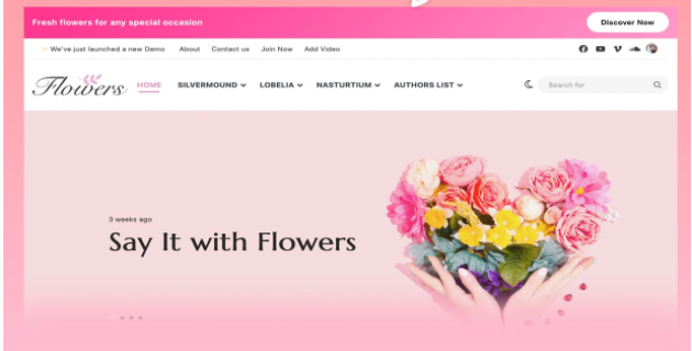Jannah WordPress Theme Review 2024: An In-Depth Look at Features and Performance 2 Jannat t